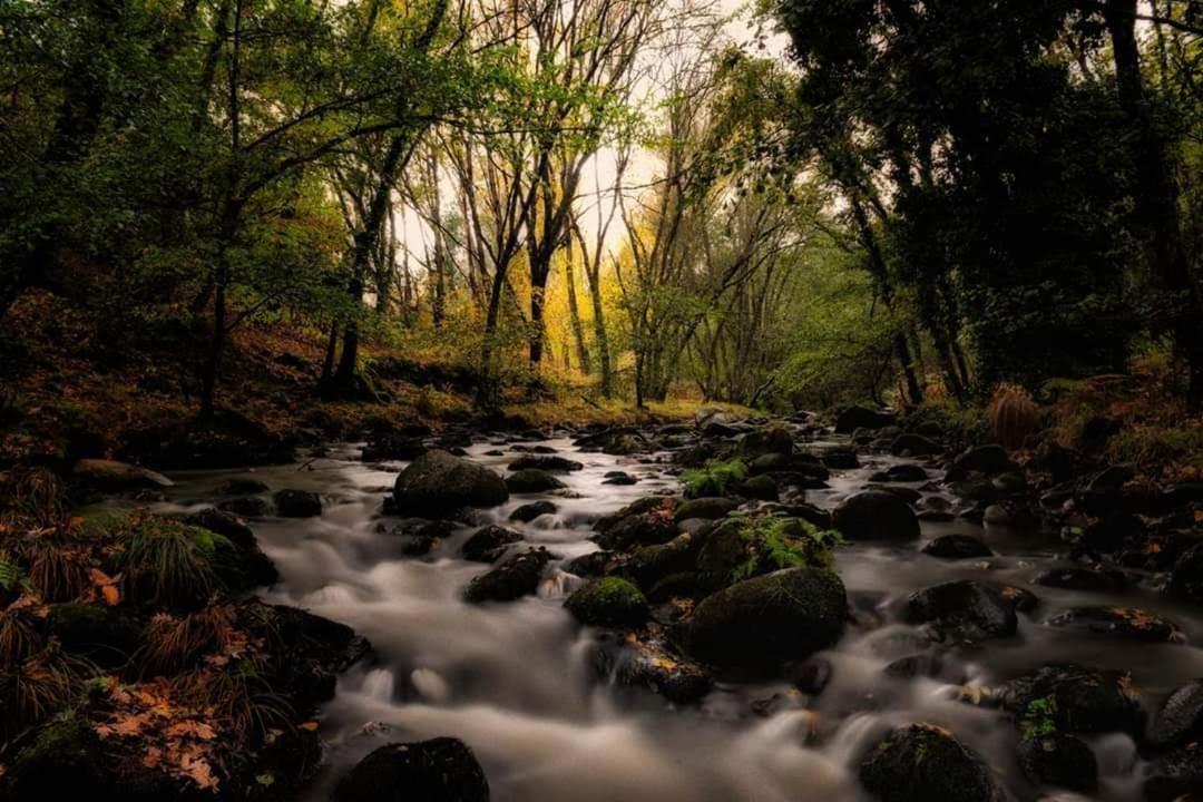 Hostel El Lago, Caceres คาไรซ์ เดลา เบรา ภายนอก รูปภาพ